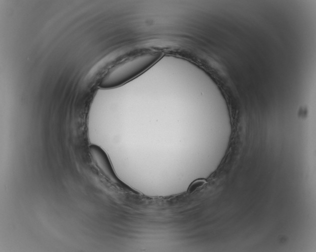 X0000113620920200910091528