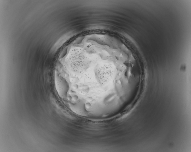 X0000113620921200910091528