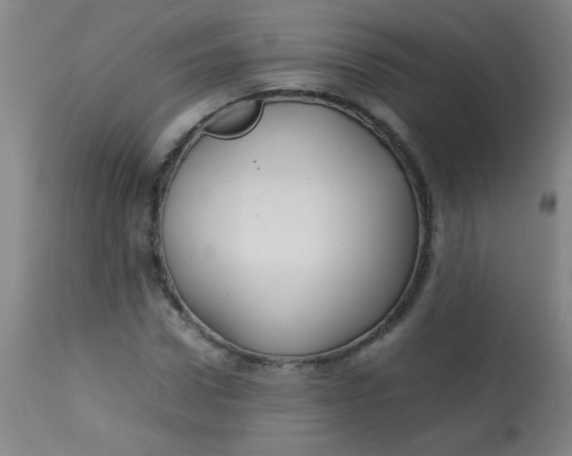 X0000113620922200910091528