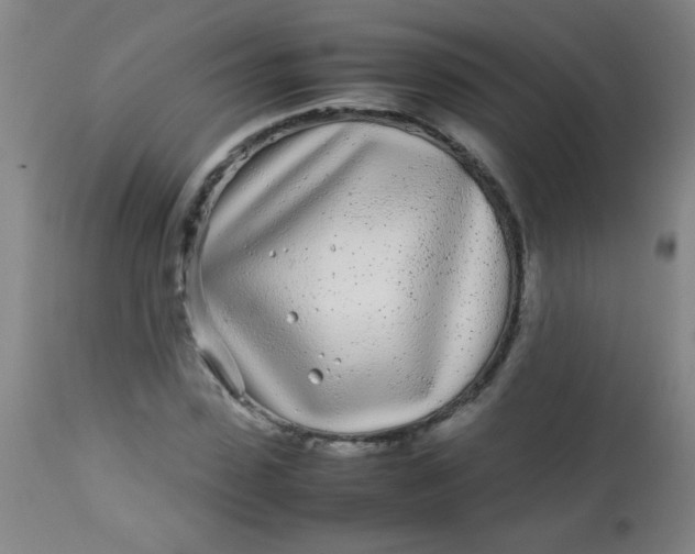 X0000113620923200910091528