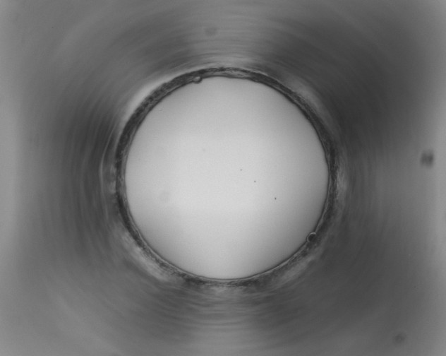 X0000113620924200910091528