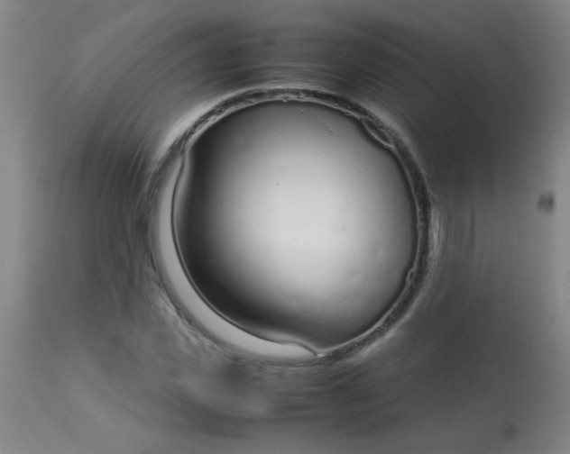 X0000113620925200910091528