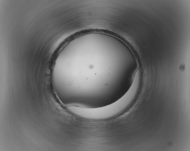 X0000113620926200910091528