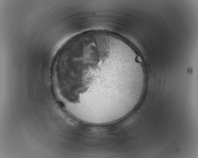 X0000113620927200910091528