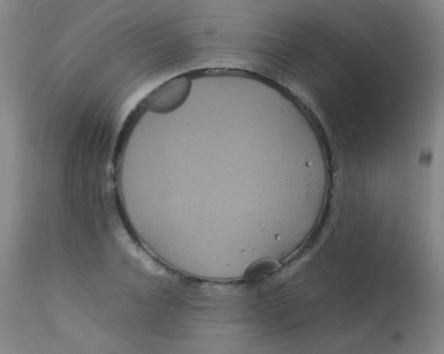 X0000113620928200910091528