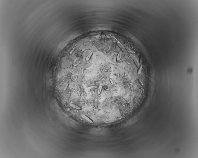 X0000113620929200910091528