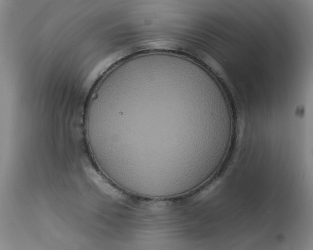 X0000113620930200910091528