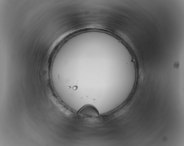 X0000113620931200910091528