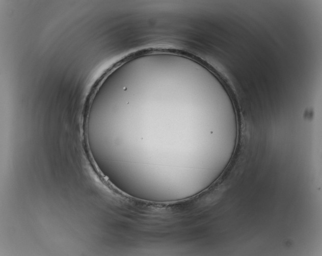 X0000113620935200910091528