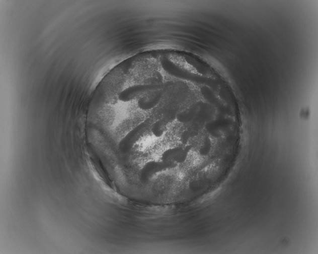 X0000113620937200910091528