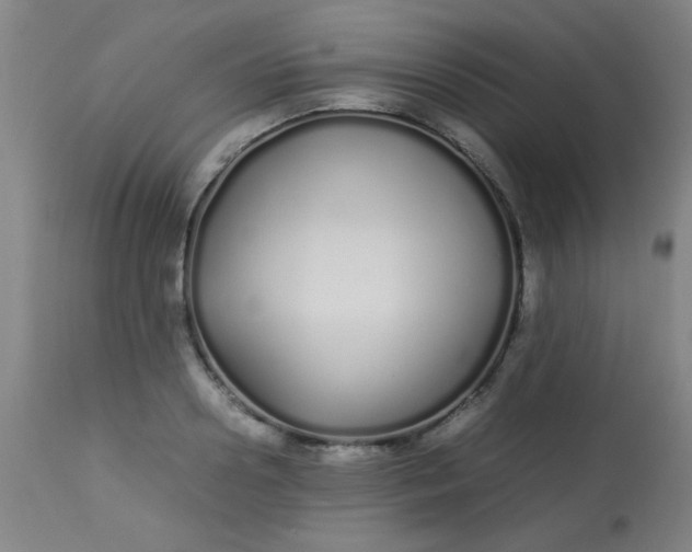 X0000113620938200910091528