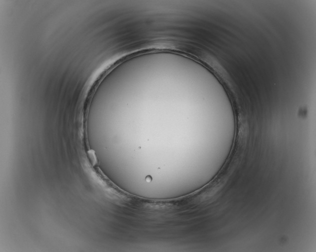 X0000113620939200910091528