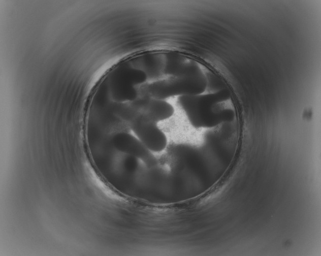 X0000113620941200910091528