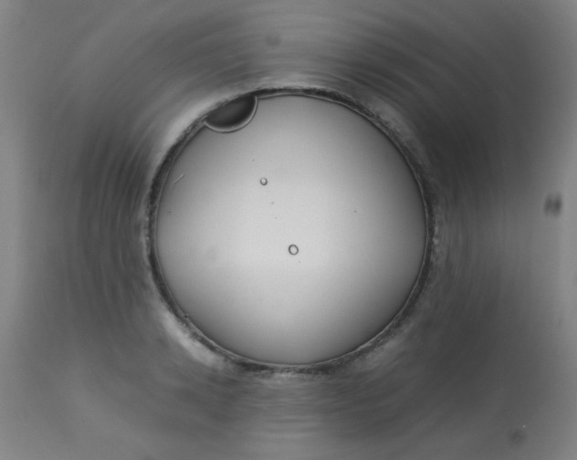 X0000113620942200910091528