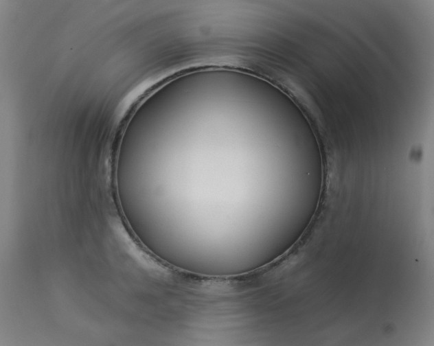 X0000113620944200910091528