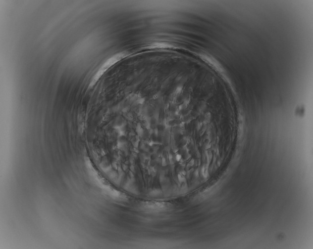 X0000113620945200910091528