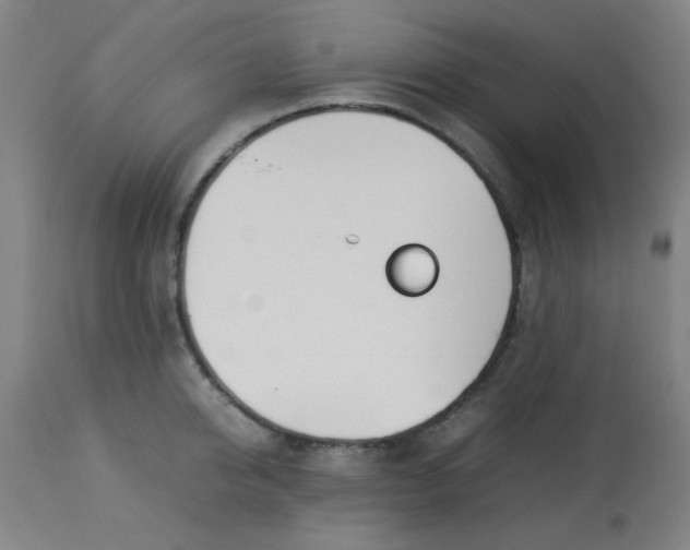 X0000113620950200910091528