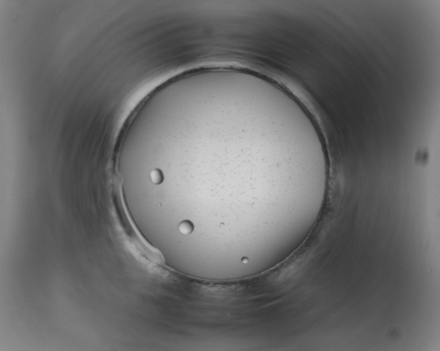 X0000113620951200910091528