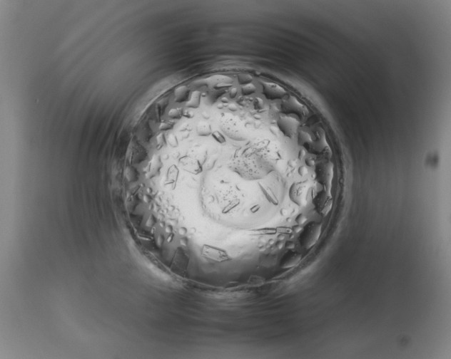 X0000113620953200910091528