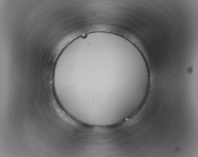 X0000113620954200910091528