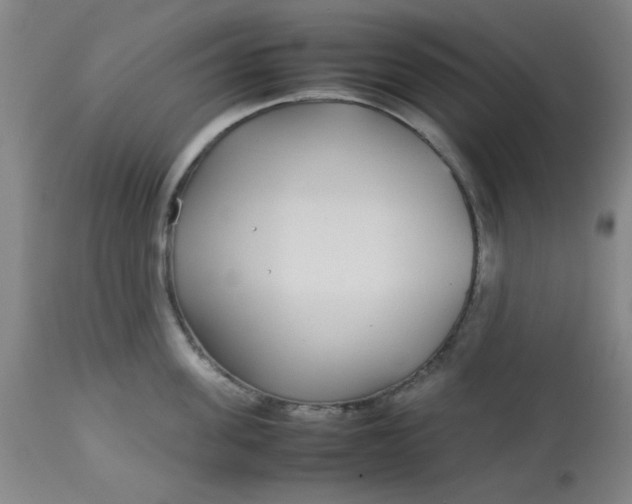 X0000113620955200910091528