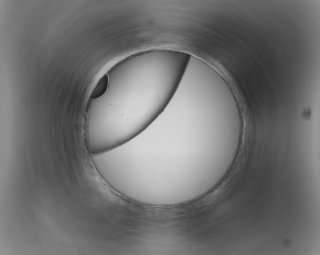 X0000113620956200910091528