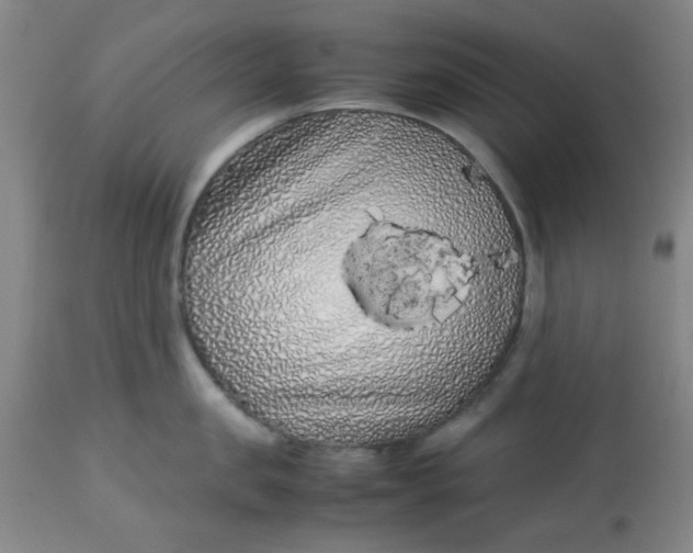 X0000113620957200910091528