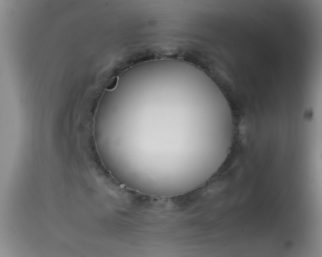 X0000113620961200910091527