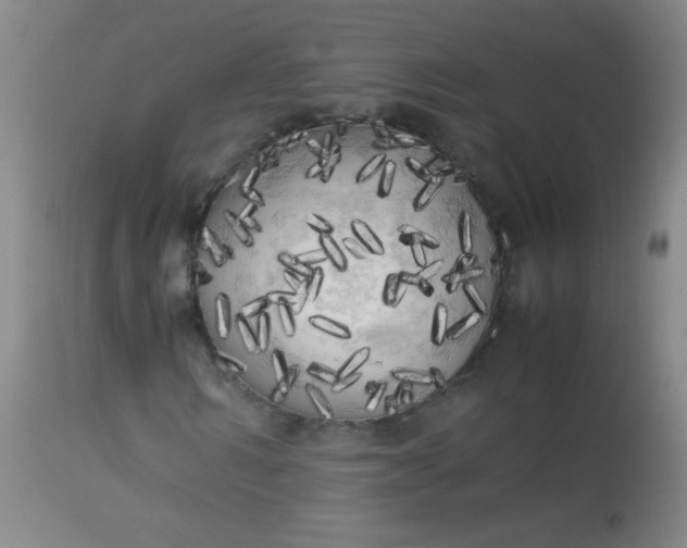 X0000113620962200910091527