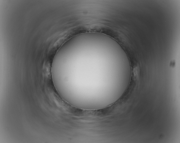 X0000113620963200910091527