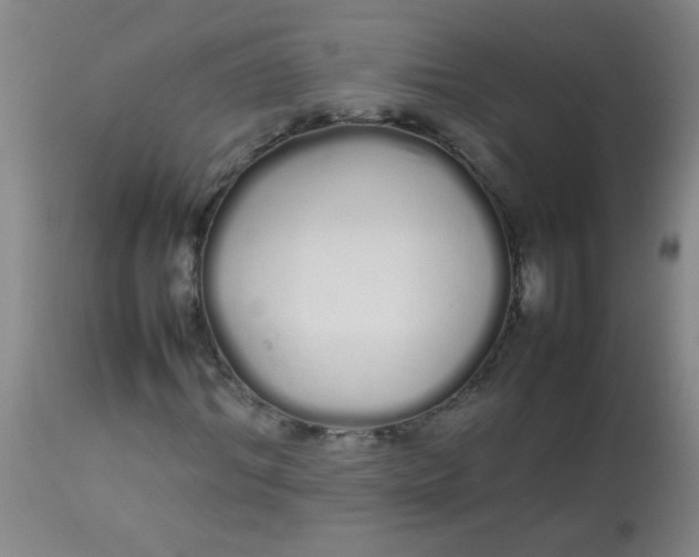 X0000113620964200910091527