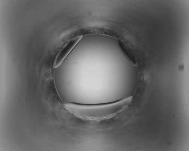 X0000113620965200910091527