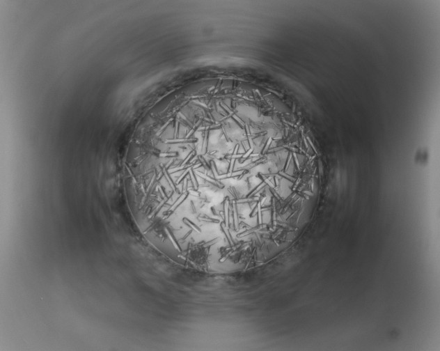 X0000113620966200910091527