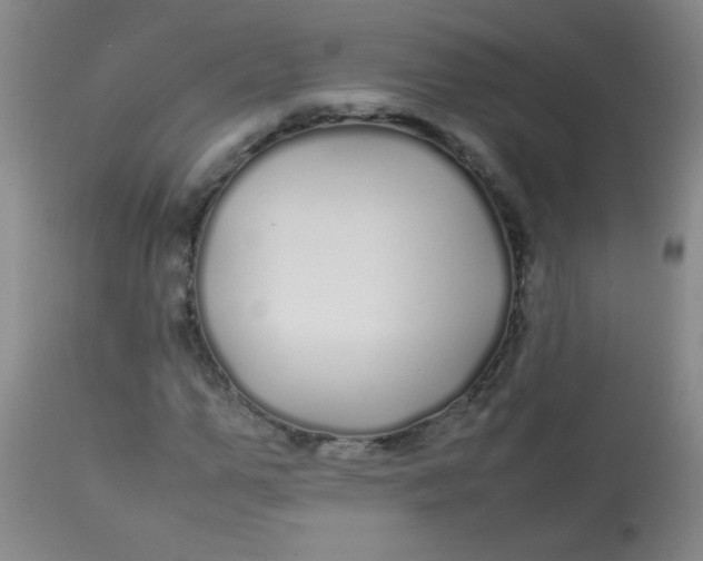 X0000113620967200910091527