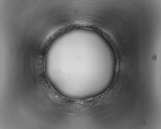 X0000113620968200910091527