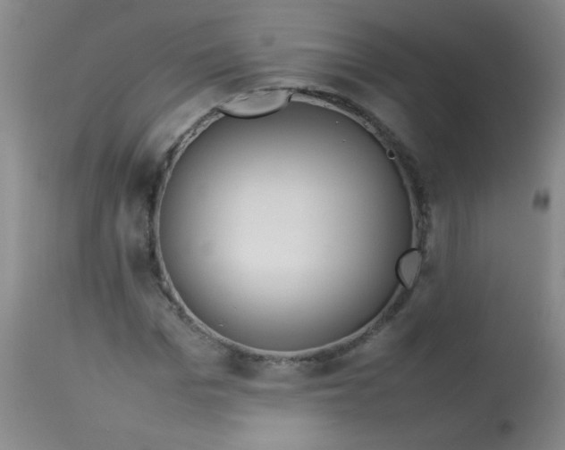 X0000113620969200910091527