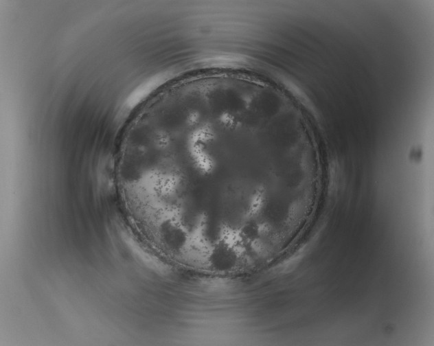 X0000113620970200910091527