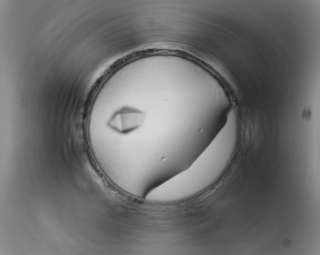 X0000113620972200910091527