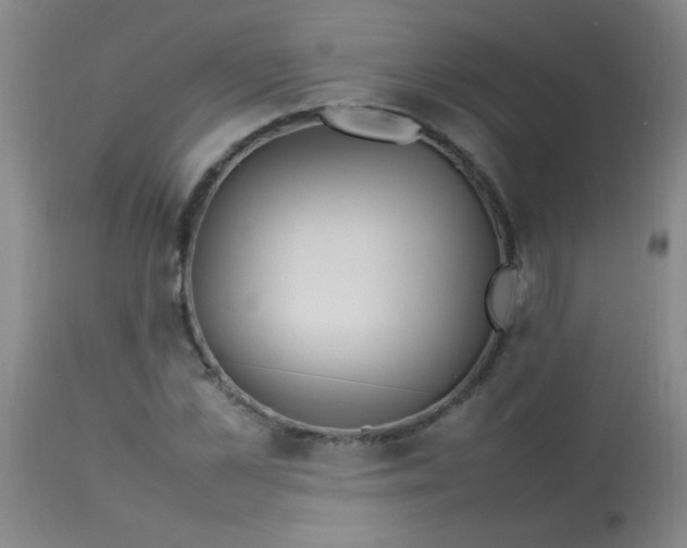 X0000113620973200910091527