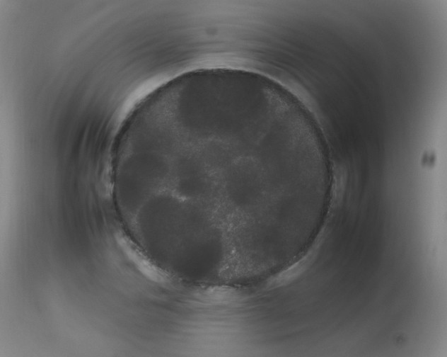 X0000113620974200910091527