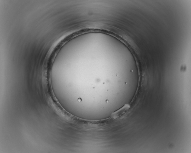 X0000113620976200910091527