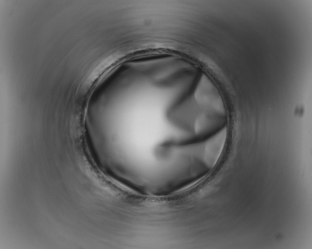 X0000113620977200910091527