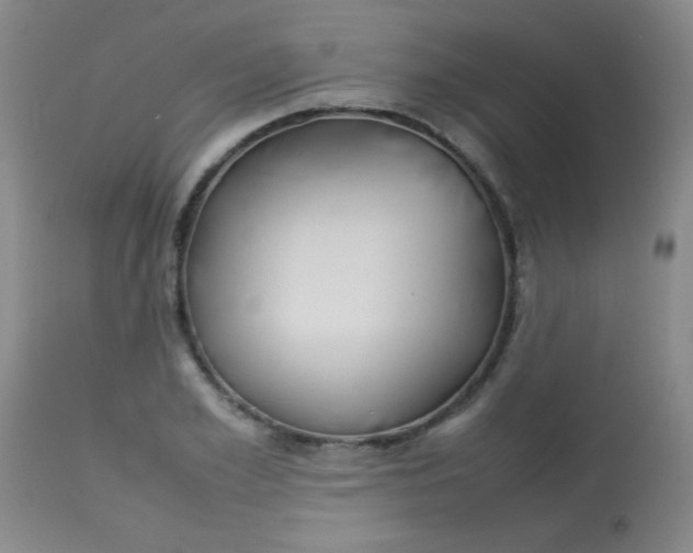 X0000113620981200910091527