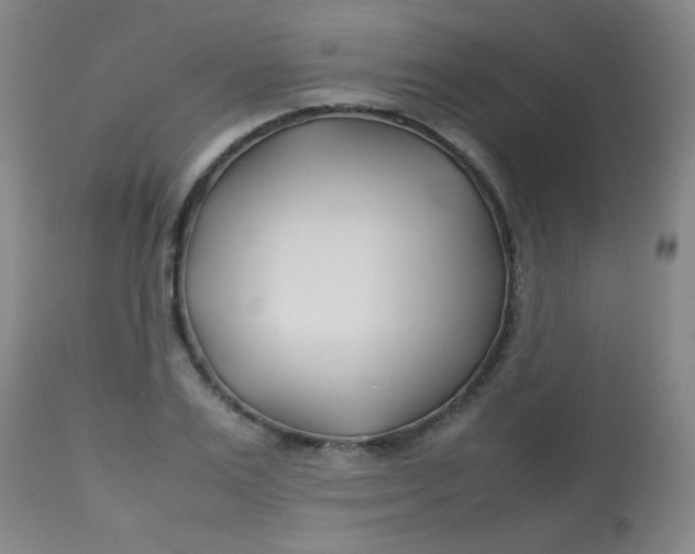 X0000113620983200910091527