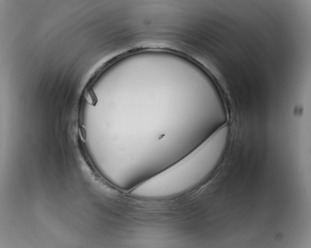 X0000113620984200910091527