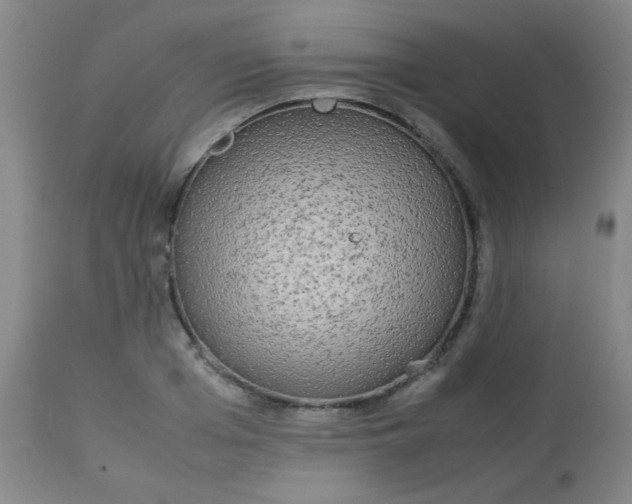 X0000113620985200910091527