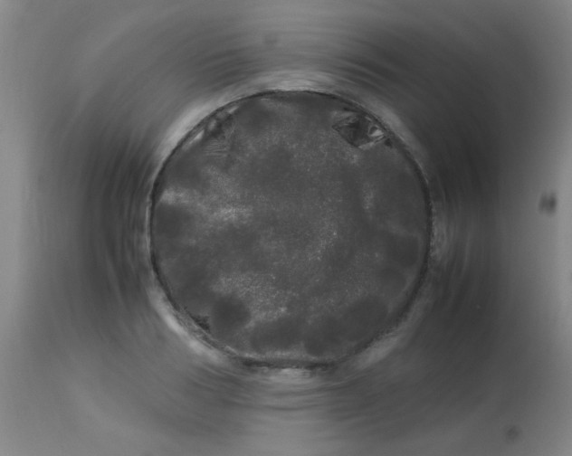 X0000113620986200910091527