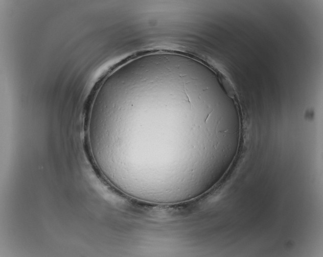 X0000113620987200910091527