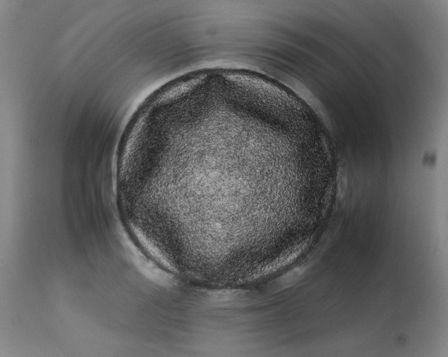 X0000113620988200910091527