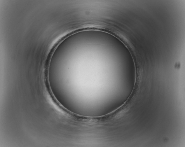 X0000113620991200910091527